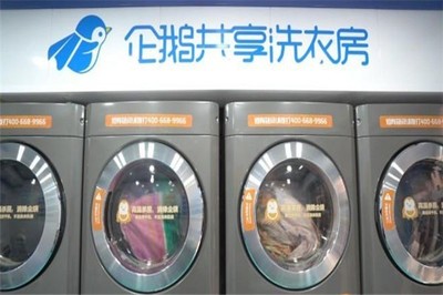 企鵝共享洗衣機(jī) 革新城市洗衣體驗(yàn)的智慧生活方案